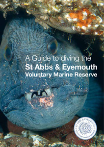 Dive Guide Dive Guide