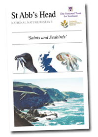 NNR leaflet NNR leaflet